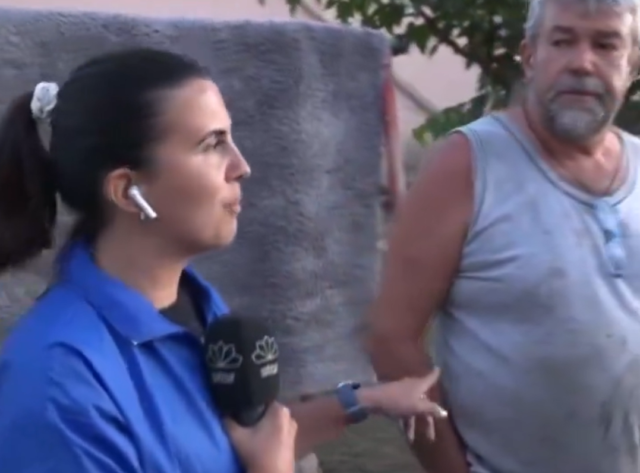 Viral έγινε δημοσιογράφος του Star και η ανταπόκρισή της από τη Θεσσαλία για το «μπαλάκι» των ευθυνών με τα νεκρά ζώα [ΒΙΝΤΕΟ]