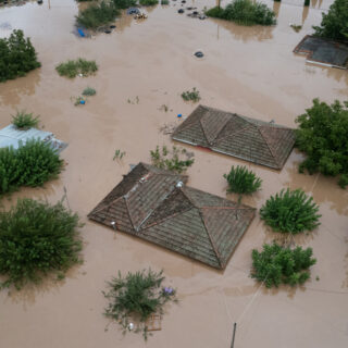 Καρδίτσα: Εγκλωβισμένοι χωρίς τροφή και νερό – Έκκληση για βοήθεια