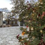 Χρστούγεννα στην «καρδιά» του Πάρνωνα: Εορταστικός Δεκέμβριος στη Βαμβακού Λακωνίας