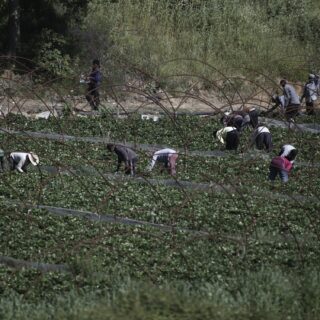 Τροπολογία για το Μεταναστευτικό: «Ικανοποιείται ένα πάγιο αίτημα των μεταναστών για νομιμοποίηση»