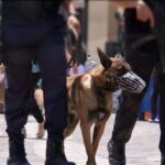 Τηλεφώνημα για βόμβα στην έδρα των ΜΑΤ – Εντοπίστηκε και εξουδετερώθηκε ο εκρηκτικός μηχανισμός