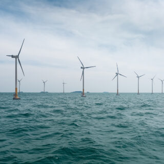 Υπεράκτια αιολικά πάρκα: Αναγκαία η προστασία της βιοποικιλότητας πριν την ενεργειακή μετάβαση