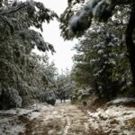 Στην «κατάψυξη» η Β. Ελλάδα: Στους -16,6°C η θερμοκρασία στην Πτολεμαΐδα και -15,1°C στη Φλώρινα