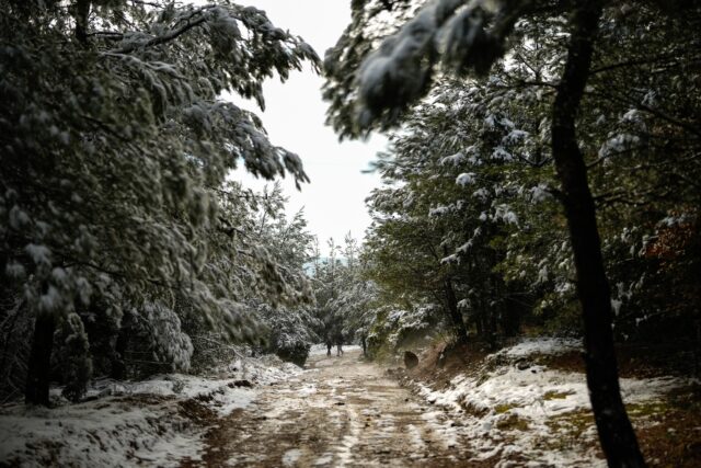 Στην «κατάψυξη» η Β. Ελλάδα: Στους -16,6°C η θερμοκρασία στην Πτολεμαΐδα και -15,1°C στη Φλώρινα