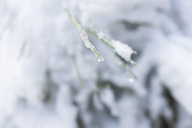 Καιρός: Τους 38°C φθάνει η διαφορά θερμοκρασίας ανάμεσα στη Δυτική Μακεδονία και τα Δωδεκάνησα