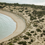 Oxbelly Retreat 2024 στην Costa Navarino: Ανοιχτή πρόσκληση για σεναριογράφους και συγγραφείς