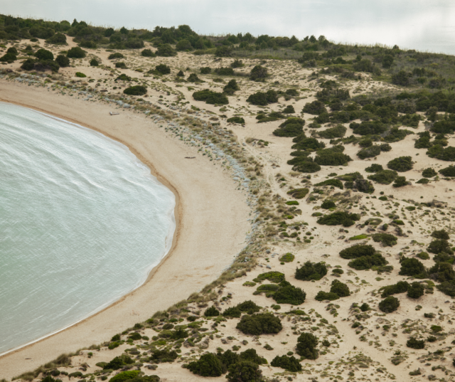 Oxbelly Retreat 2024 στην Costa Navarino: Ανοιχτή πρόσκληση για σεναριογράφους και συγγραφείς