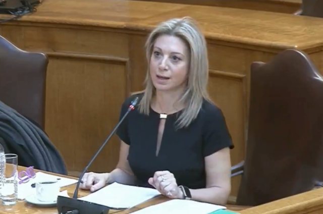 Τέμπη: Συγκλόνιζει η κατάθεση της προέδρου του Συλλόγου Θυμάτων στην Εξεταστική Επιτροπή [ΒΙΝΤΕΟ]