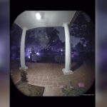 Κάμερα απαθανάτισε ρακούν να τρέχει μπροστά από ένα σπίτι κάνοντας κατακόρυφο