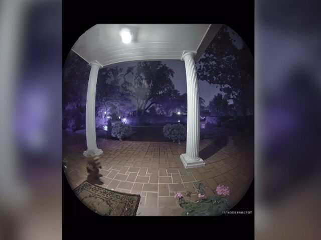 Κάμερα απαθανάτισε ρακούν να τρέχει μπροστά από ένα σπίτι κάνοντας κατακόρυφο