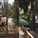 PCAI X ΕΜΣΤ: Διερευνώντας ταυτότητες και φύλα στους σύγχρονους κήπους-καταφύγια