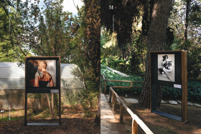 PCAI X ΕΜΣΤ: Διερευνώντας ταυτότητες και φύλα στους σύγχρονους κήπους-καταφύγια