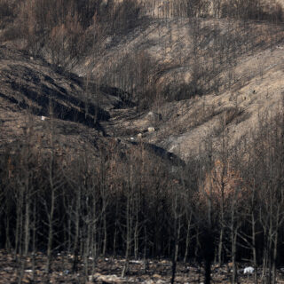 Δίκη για το Μάτι: Σαρωτικός ο εισαγγελέας ζήτησε ενοχή Τερζούδη και Φωστιέρη για την τραγωδία με τους 104 νεκρούς