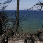 Δίκη για το Μάτι: Ενοχή για 9 και απαλλαγή για 12 ζήτησε ο εισαγγελέας – Αυστηρή η πρόταση ενοχής για τον Ευάγγελο Μπουρνούς