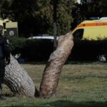 Τραγωδία στην Γλυφάδα: Ταυτοποιήθηκαν οι τρεις νεκροί