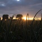 Βέροια: Χειροπέδες σε πατέρα και γιο για εκμετάλλευση εργατών γης