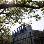 Ζευγάρι έφαγε μανιτάρια και νοσηλεύεται στο ΑΧΕΠΑ με οξεία ηπατική ανεπάρκεια