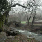 Το «Λενάκι, δυο φωτιές και δυο κατάρες» σε παγκόσμια πρεμιέρα