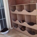 Η πολ…catοικία 18 δωματίων του δημάρχου Δυτικής Λέσβου