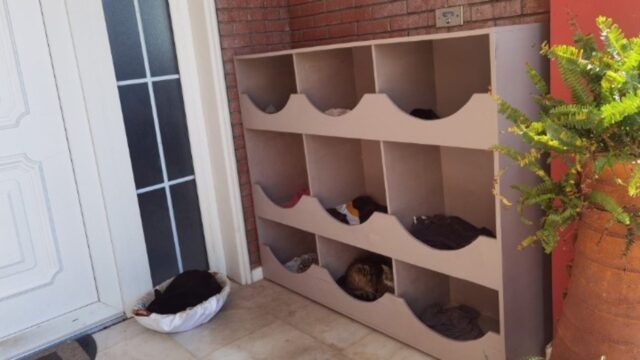 Η πολ…catοικία 18 δωματίων του δημάρχου Δυτικής Λέσβου