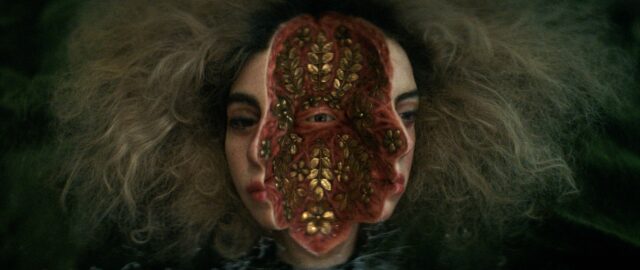 «Αγαπούσε τα Λουλούδια Περισσότερο»: Η νέα μεγάλου μήκους ταινία του Γιάννη Βεσλεμέ