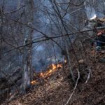 Φωτιές σε Κέρκυρα και Ιωάννινα