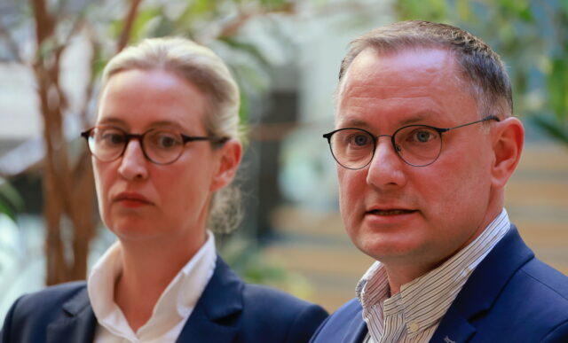 Η ευρωομάδα «Ταυτότητα και Δημοκρατία» αποβάλλει την AfD