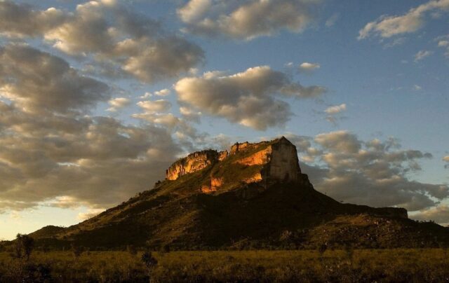 Βραζιλία: Η αποψίλωση εξαπλώνεται στη σαβάνα Σεχάντου