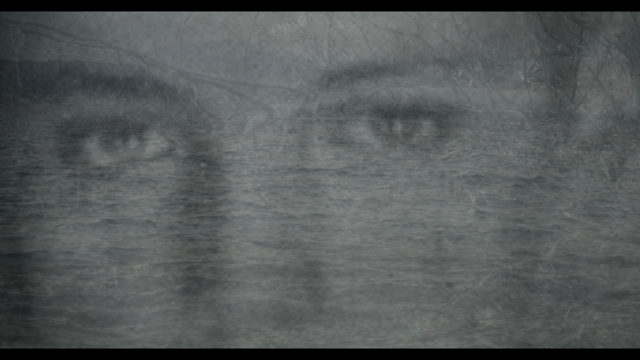 Το ντοκιμαντέρ «Ξεριζωμένοι» της Ελένης Αλεξανδράκη σε ειδική προβολή στην Ταινιοθήκη της Ελλάδας