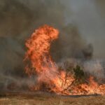 Χαλκίδα: Πυρκαγιές στο Καλοχώρι Αυλίδας και στη Νέα Αρτάκη Ευβοίας