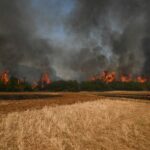Πυρκαγιά σε αγροτοδασική έκταση στο Παλαιόκαστρο Ελασσόνας