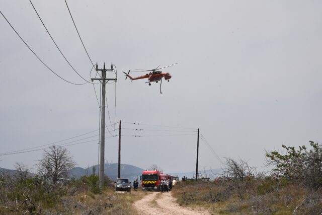 Λάρισα: Πυρκαγιά στην Αγία Τριάδα Φαρσάλων