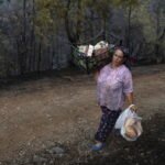 Τουρκία: Στους έξι οι νεκροί και 44 οι τραυματίες από μεγάλη αγροτική πυρκαγιά