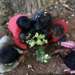 Παγκόσμια Ημέρα Περιβάλλοντος: Στο υψηλότερο επίπεδο όλων των εποχών ο ρυθμός υπερθέρμανσης του πλανήτη