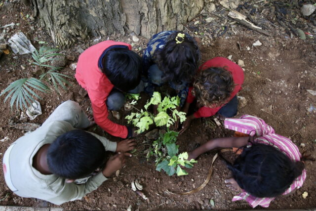 Παγκόσμια Ημέρα Περιβάλλοντος: Στο υψηλότερο επίπεδο όλων των εποχών ο ρυθμός υπερθέρμανσης του πλανήτη