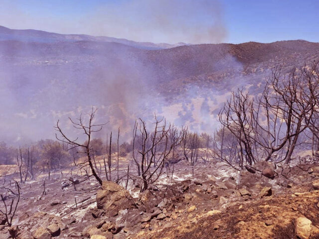 Φωτιές σε Φανερωμένη Ασπροπύργου και Σχιστό Κορυδαλλού