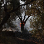 Χωρίς ενεργό μέτωπο η πυρκαγιά στην Στιμάγκα Κορινθίας