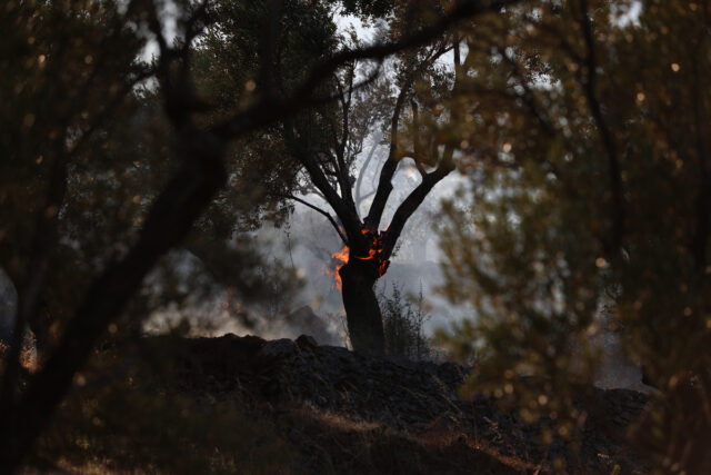 Χωρίς ενεργό μέτωπο η πυρκαγιά στην Στιμάγκα Κορινθίας