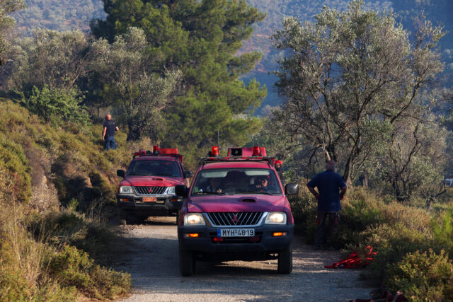 Πυρκαγιά σε δασική έκταση στον Άγιο Ελισσαίο Μονεμβασιάς