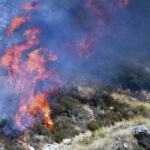 Κιλκίς: Πυρκαγιά στις Μουριές