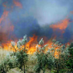 Πυρκαγιά στο Λευκόχωμα Λακωνίας – Προειδοποιητικό μήνυμα του 112