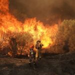 Σέρρες: Μια φωτιά που καίει από τα μέσα Ιουλίου, τρομακτική η καταστροφή