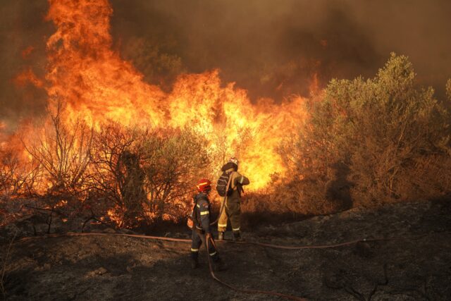 Σέρρες: Μια φωτιά που καίει από τα μέσα Ιουλίου, τρομακτική η καταστροφή