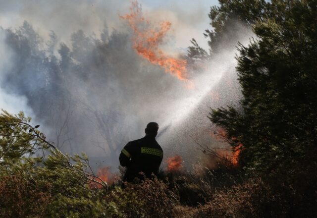 Πυρκαγιά στο Σοφικό Κορινθίας: Τραυματίστηκαν δύο πυροσβέστες [ΒΙΝΤΕΟ]
