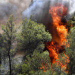 Πυρκαγιά στις Λιβανάτες Φθιώτιδας