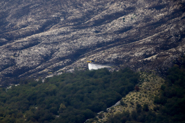 Καβάλα: Φωτιά σε δασική έκταση στο δήμο Παγγαίου