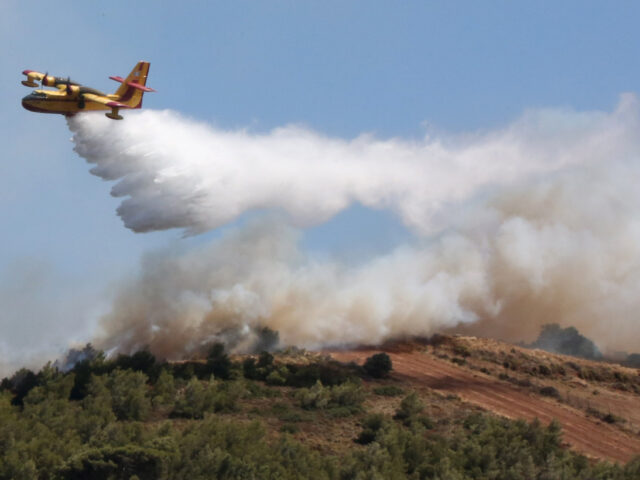 Φωτιά στα Βίλια – Συναγερμός στην Πυροσβεστική