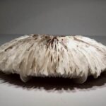 Ομαδική Έκθεση Κεραμικής «Οραματιστές του χθες, Δάσκαλοι του σήμερα»