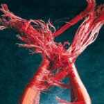 Φεστιβάλ Οίτης 2024 – Movimentos: Κάθε βράδυ κι ένα ταξίδι σε διαφορετική χώρα της Μεσογείου