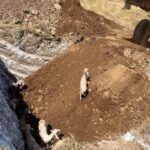 Η Πανελλαδική Φιλοζωική και Περιβαλλοντική Ομοσπονδία ζητά να αποδοθούν ευθύνες για το έγκλημα της ταφής ζωντανών προβάτων